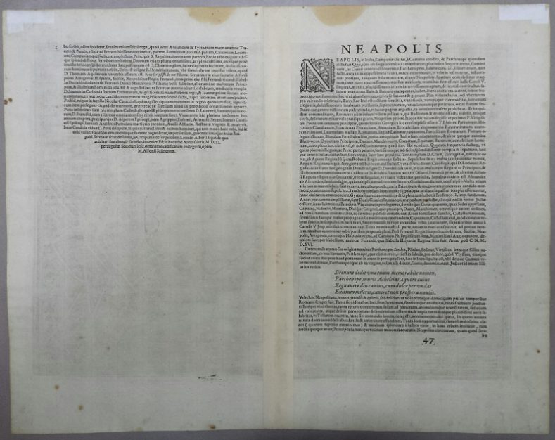 testo a tergo della pianta di napoli